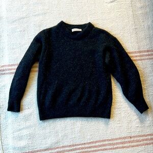 Everlane cocoon crew in alpaca